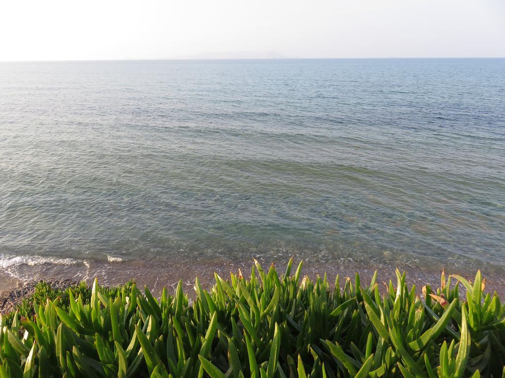 Frosso'S Sea Apartments Kokkini Hani Exterior photo